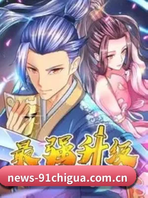 功能完善
